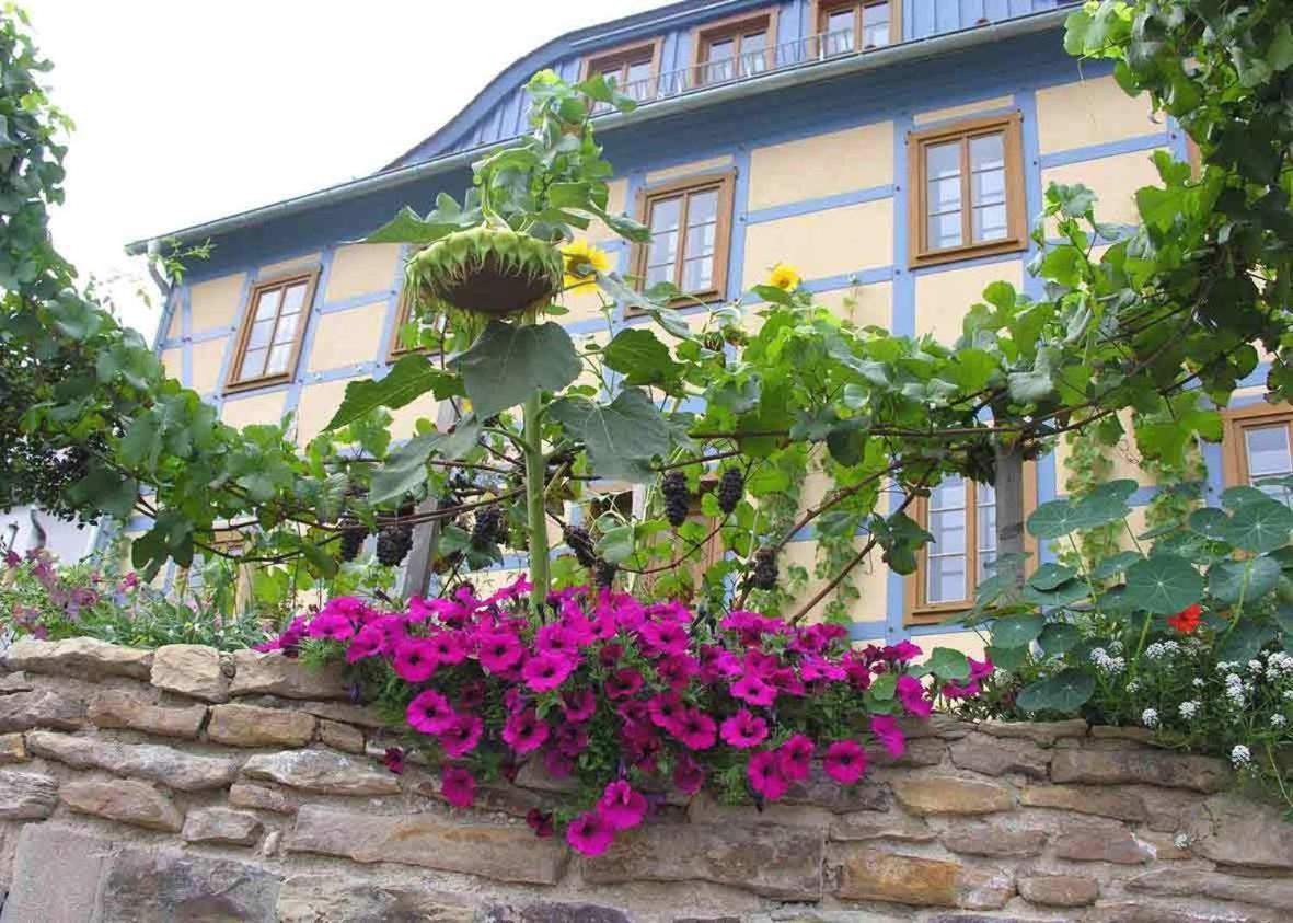 In Der Alten Weinstube Freital Eksteriør bilde